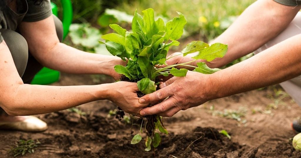 Chữa lành dòng chảy quá khứ