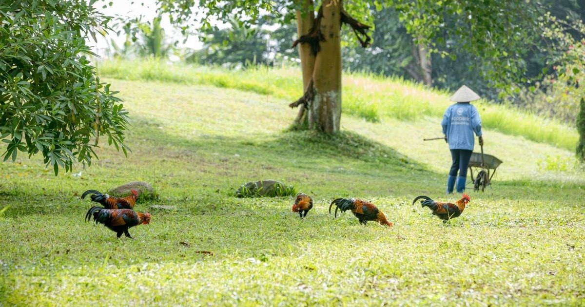 Dạy con cái biết cách yêu thiên nhiên