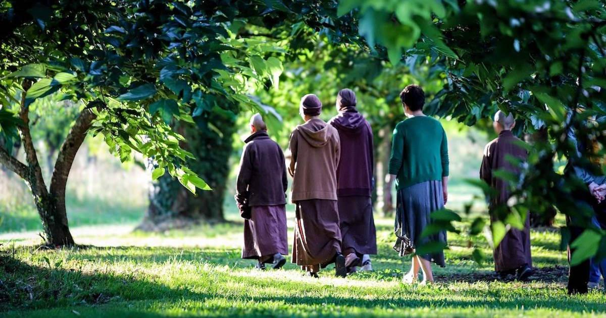 Thực hành chánh niệm ngày 2 - Đi bộ trong chánh niệm