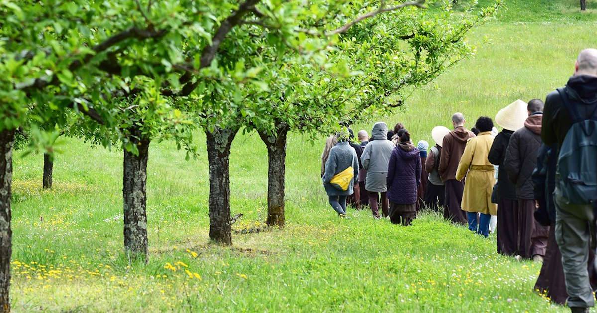 Đi thiền hành khi đang giận