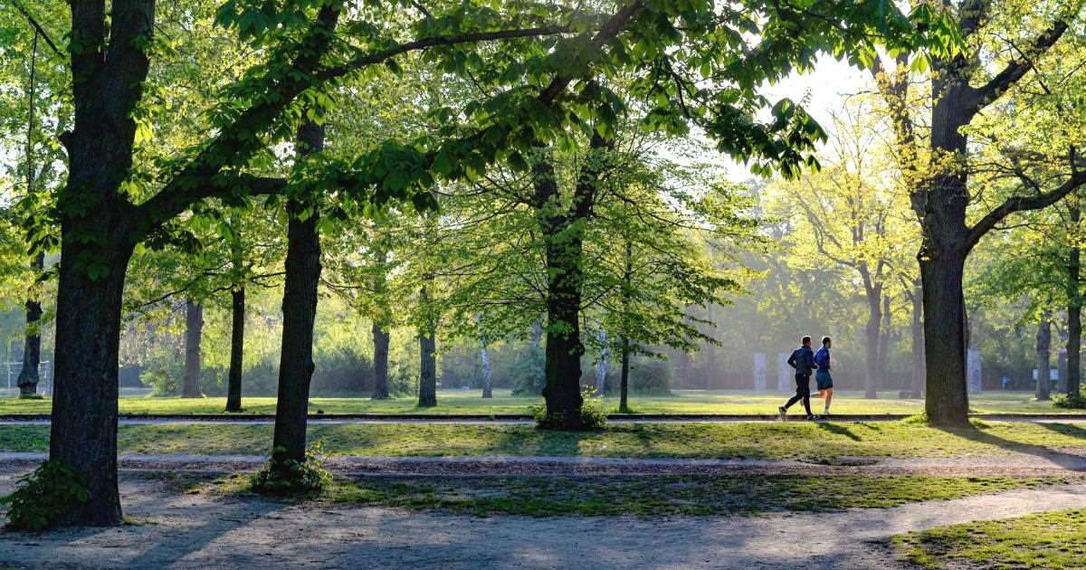 Lợi ích của việc sống gần thiên nhiên