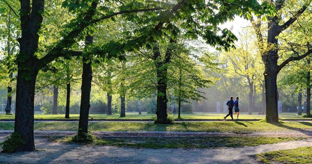 Lợi ích của việc sống gần thiên nhiên