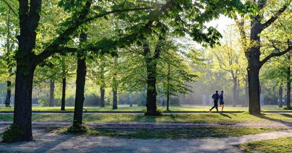 Lợi ích của việc sống gần thiên nhiên