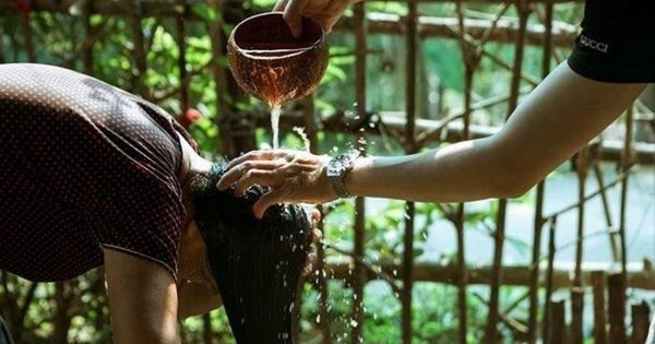 Lợi ích tuyệt vời khi gội đầu bằng bồ kết