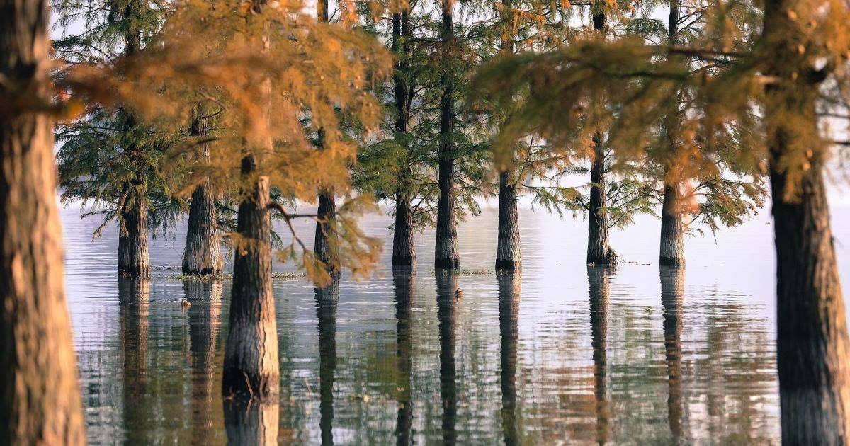 Mong muốn khi hành thiền