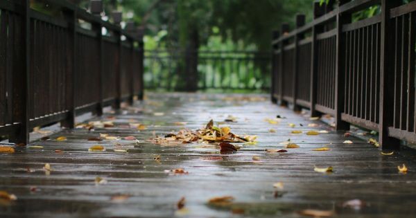 Ở cho yên ổn, ngồi cho vững vàng