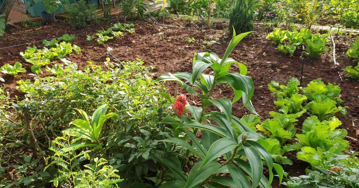 Ngồi thiền trong khu vườn thiên nhiên buổi sáng