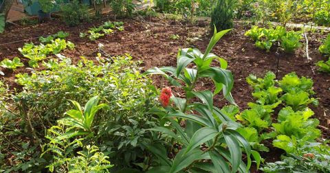 Ngồi thiền trong khu vườn thiên nhiên buổi sáng