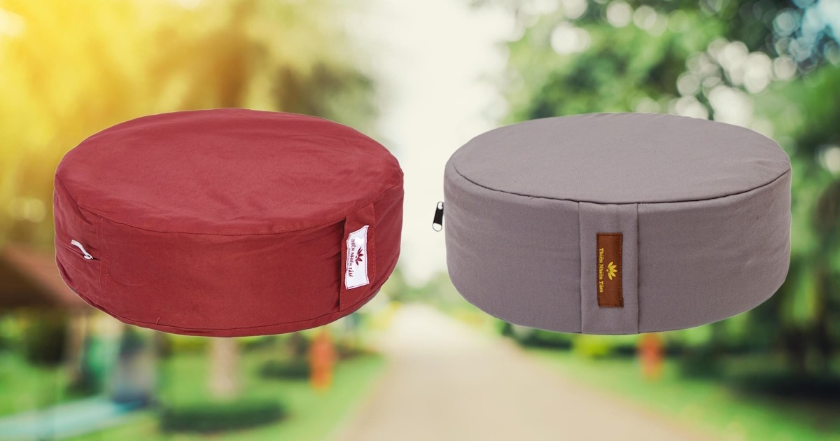 So sánh bồ đoàn ruột mút và bồ đoàn ruột vỏ đậu xanh