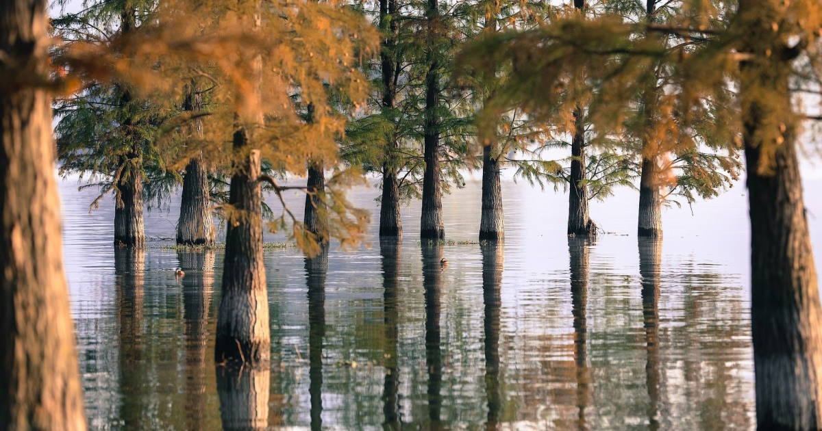 Trung đạo và thái độ khi hành thiền