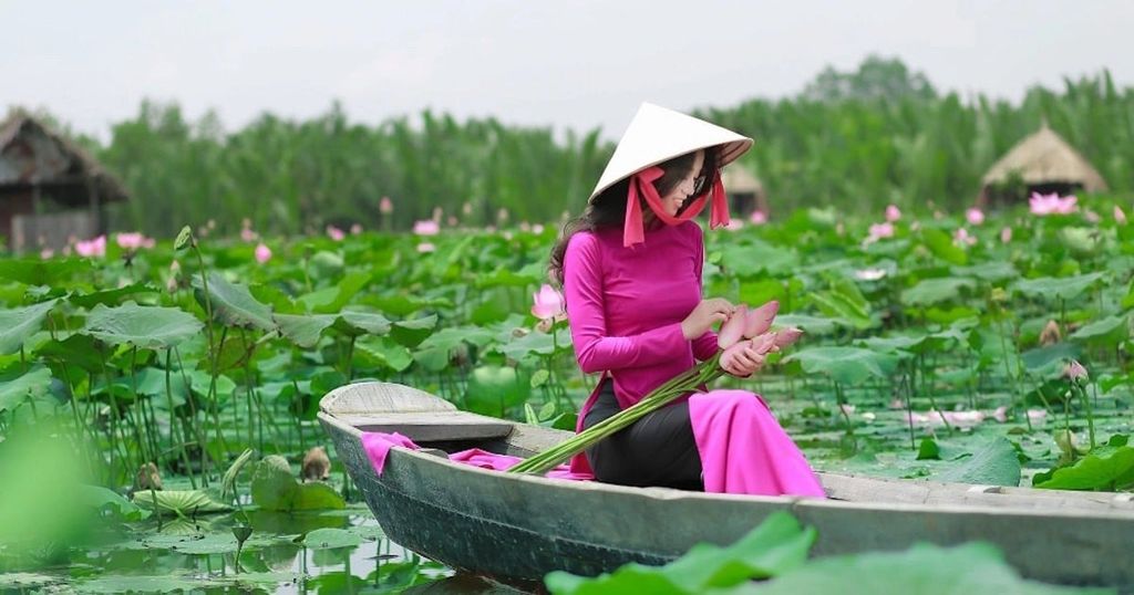 Vẻ đẹp hoa sen