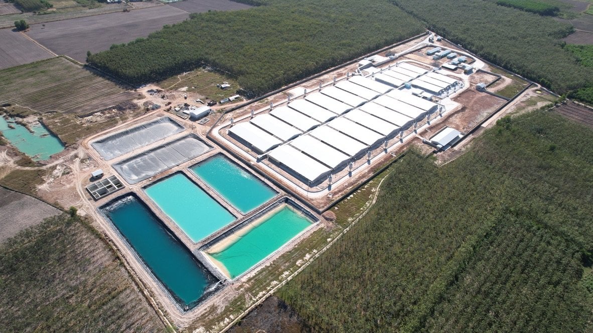 Xây dựng Trang trại chăn nuôi heo theo mô hình trại lạnh khép kín