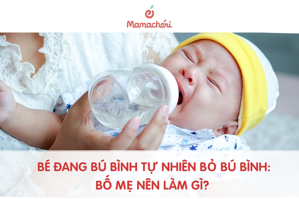 Bé đang bú bình tự nhiên bỏ bú bình: Bố mẹ nên làm gì?