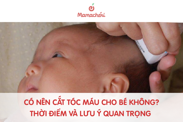 Có nên cắt tóc máu cho bé không? Thời điểm và lưu ý quan trọng