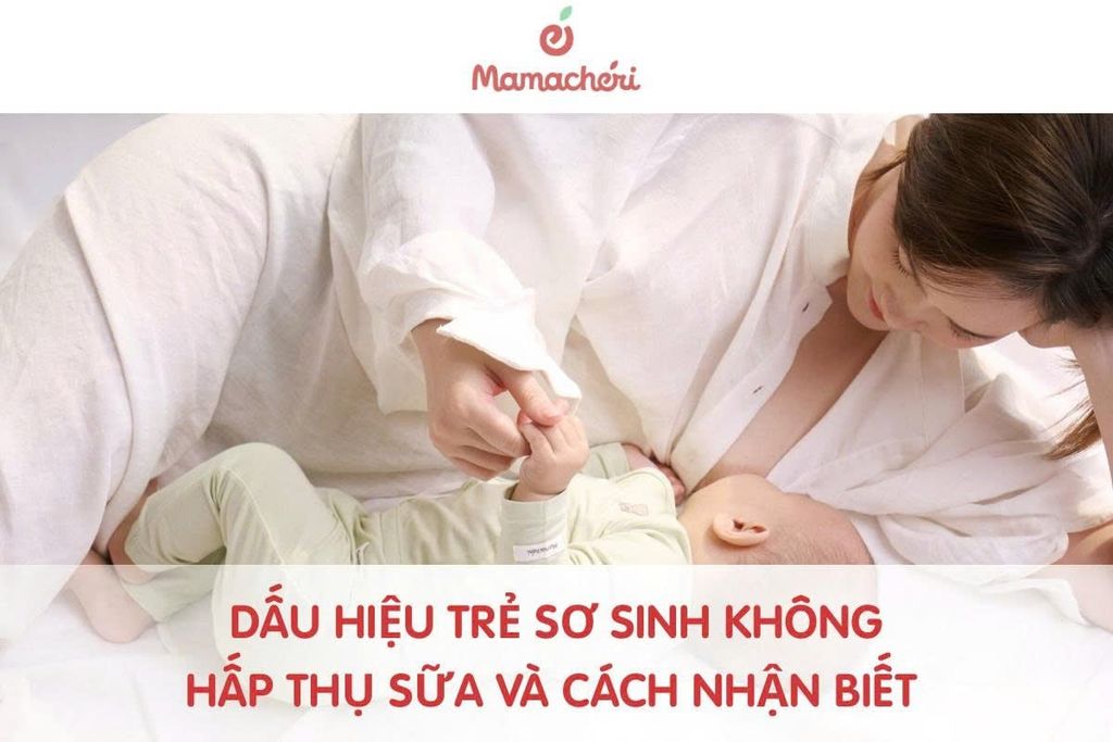 Dấu Hiệu Trẻ Sơ Sinh Không Hấp Thụ Sữa Và Cách Nhận Biết