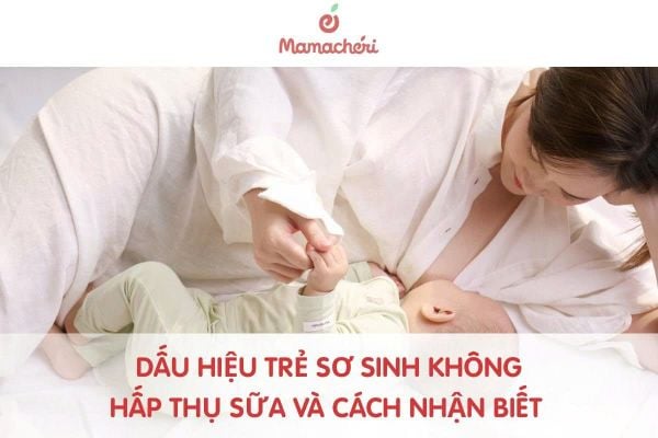 Dấu Hiệu Trẻ Sơ Sinh Không Hấp Thụ Sữa Và Cách Nhận Biết