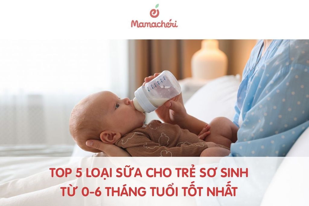 Top 5 Loại Sữa Cho Trẻ Sơ Sinh Từ 0-6 Tháng Tuổi Tốt Nhất