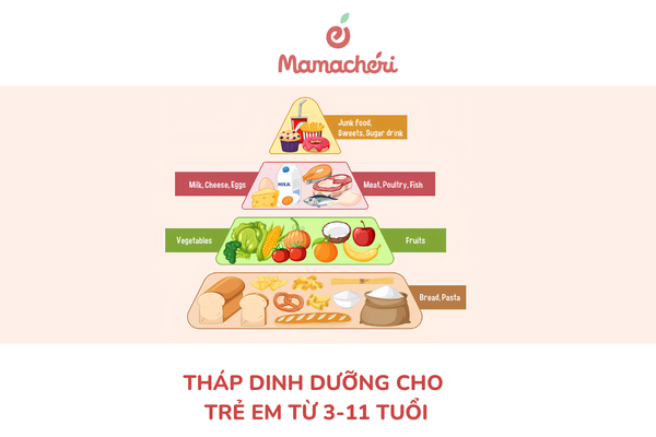 Tháp dinh dưỡng cho trẻ em từ 3 tới 11 tuổi