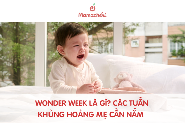 Wonder Week là gì? Các tuần khủng hoảng của bé mẹ cần nắm