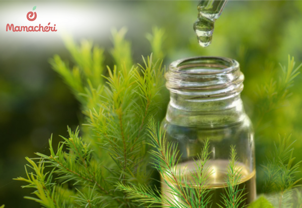 Luôn bắt đầu với một lượng nhỏ để đảm bảo sự thoải mái tuyệt đối cho con.