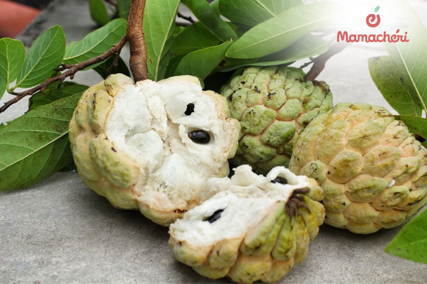 Quả na và mẹo dân gian được truyền miệng giúp bé mọc răng thuận lợi