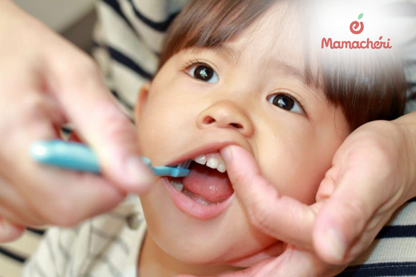 Sự quan tâm tỉ mỉ của mẹ sẽ giúp con tránh được những cơn đau răng khó chịu
