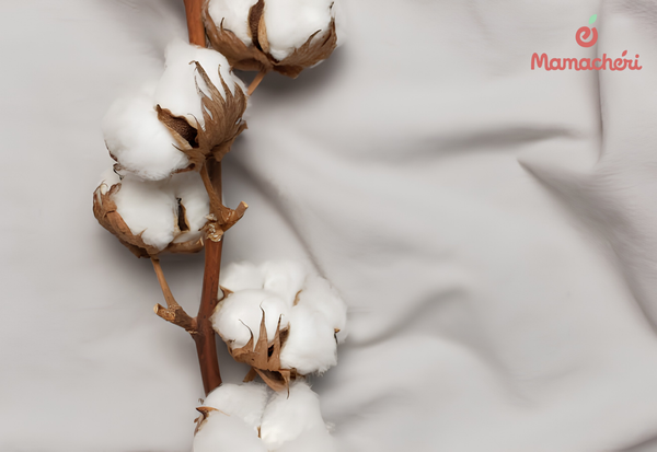 Sợi bông tự nhiên là khởi nguồn cho những thớ vải cotton mềm mại, lành tính
