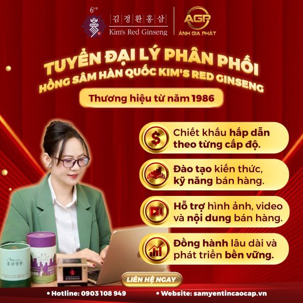 TUYỂN ĐẠI LÝ HỒNG SÂM HÀN QUỐC KIM'S RED GINSENG -CƠ HỘI KINH DOANH SẢN PHẨM SỨC KHỎE CHẤT LƯỢNG CAO