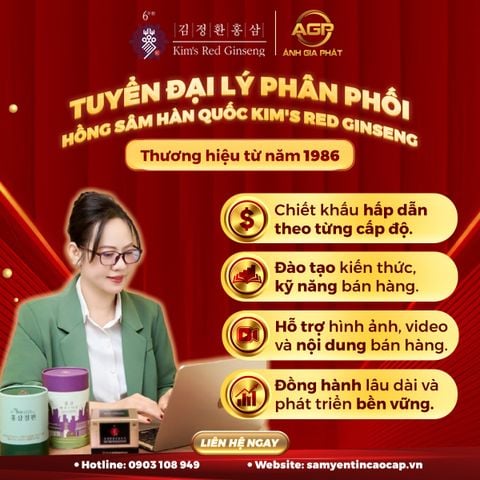 TUYỂN ĐẠI LÝ HỒNG SÂM HÀN QUỐC KIM'S RED GINSENG -CƠ HỘI KINH DOANH SẢN PHẨM SỨC KHỎE CHẤT LƯỢNG CAO