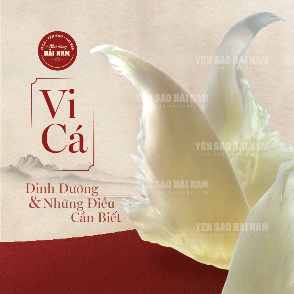 Kiến Thức Về Vi Cá: Dinh Dưỡng & Những Điều Cần Biết