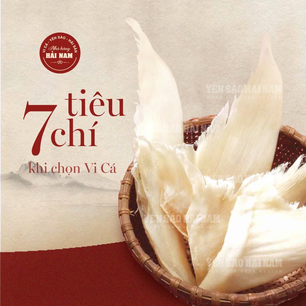 Cách Chọn Vi Cá Chất Lượng: 7 Tiêu Chí Cần Biết