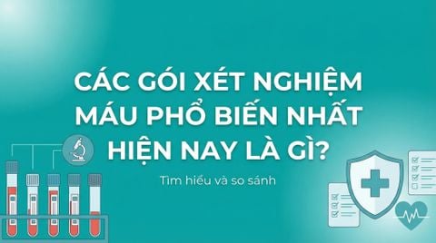 Có những gói xét nghiệm máu nào phổ biến hiện nay?