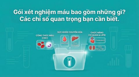 Gói xét nghiệm máu gồm những gì? Những chỉ số quan trọng bạn nên biết