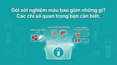 Gói xét nghiệm máu gồm những gì? Những chỉ số quan trọng bạn nên biết