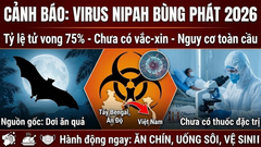 Virus Nipah (2026): Cảnh Báo 