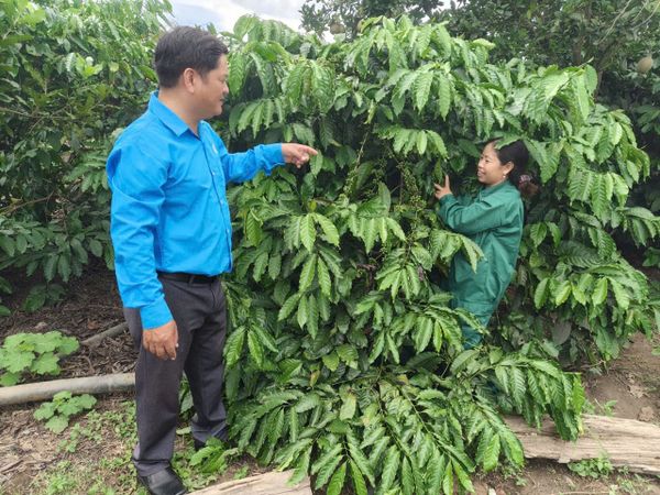 CÔNG TY TNHH MTV CAO SU KON TUM THĂM HỎI, ĐỘNG VIÊN CÁC GIA ĐÌNH CÁN BỘ, CÔNG NHÂN VIÊN NHÂN NGÀY GIA ĐÌNH VIỆT NAM 28/6