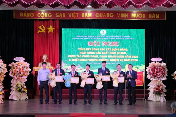 4 công ty cao su tại Quảng Ngãi cần tiếp tục đổi mới quản trị, nâng cao hiệu quả sản xuất kinh doanh