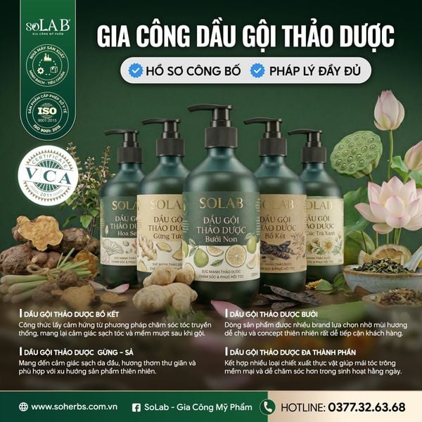 Các Hoạt Chất Nguyên Liệu Trong Gia Công DẦU GỘI Tại Thị Trường Việt Nam 2026