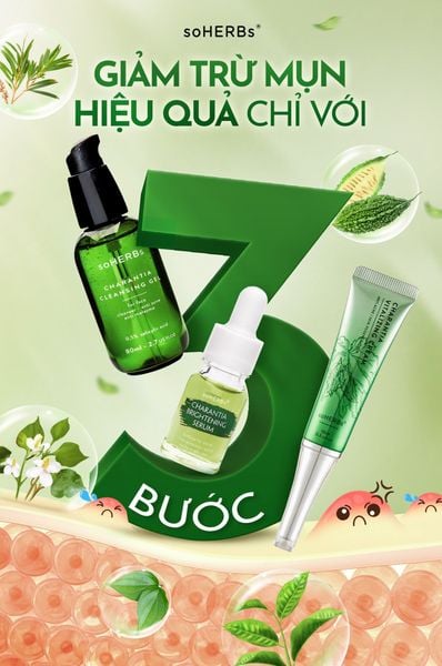 Mụn Ẩn - Mụn Viêm Cách Chăm Tại Nhà Và Các Sản Phẩm Kèm Hiệu Quả Nhất Hiện Nay