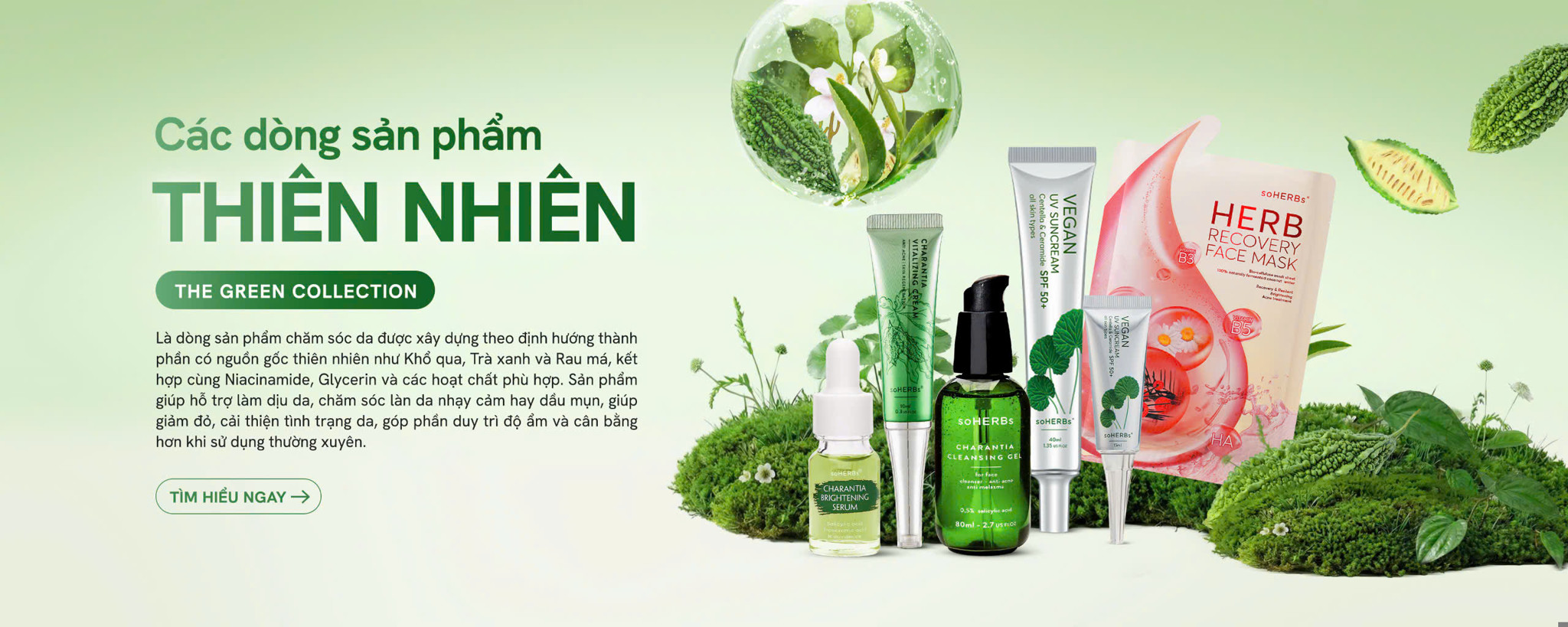 Cao khổ qua - Sản phẩm thiên nhiên