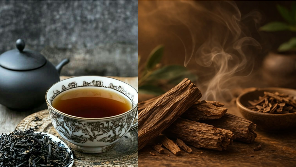 Trà đen cho tóc: tác động của tannin và cách dùng phù hợp