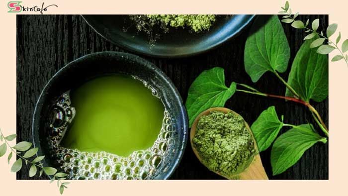 Trà xanh cho da đầu dầu: Polyphenol có vai trò gì?