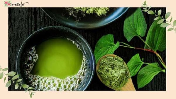Trà xanh cho da đầu dầu: Polyphenol có vai trò gì?