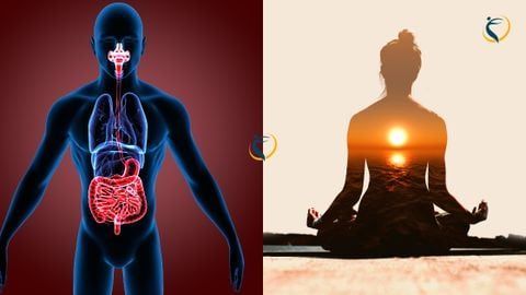 Chăm sóc sức khỏe hệ tiêu hóa với Yoga