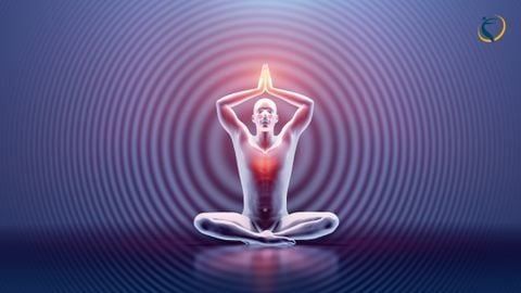 Yoga: Bộ môn lành mạnh cho Thể lực và Tâm trí