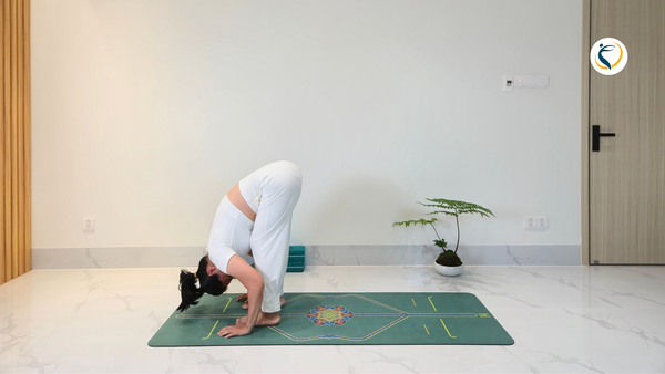 Tư Thế Đứng Gập Trong Yoga: Hướng Dẫn Chi Tiết Và Các Biến Thể Cho Người Mới Bắt Đầu