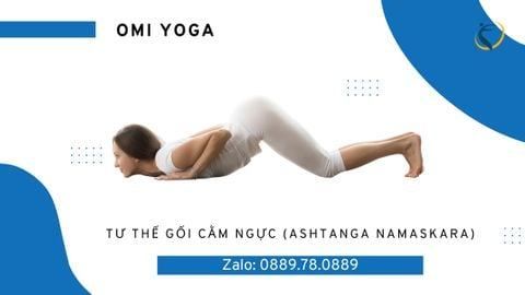 Tư thế gối cằm ngực (Ashtanga Namaskara) Hay Tư thế 8 điểm chạm thảm