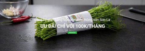 Đăng ký Gian hàng trên Website: Http://nongsansonla.com với giá ưu đãi trong Dịp Tết Nguyên đán 2026 chỉ 100k/tháng.