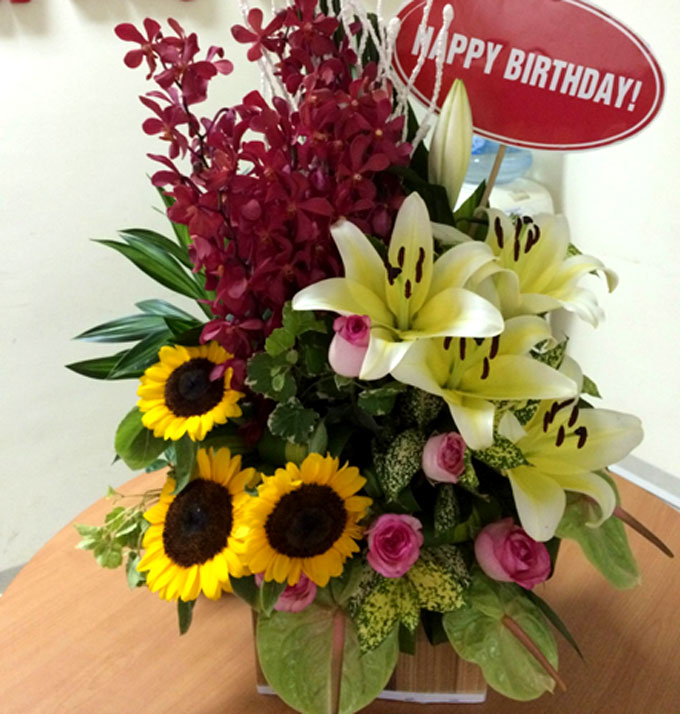 Synergy Power tổ chức sinh nhật cho CBNV tháng 8/2016