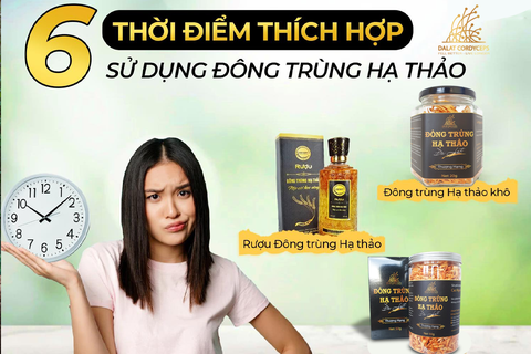 6 thời điểm sử dụng Đông Trùng Hạ Thảo để phát huy tác dụng nhất